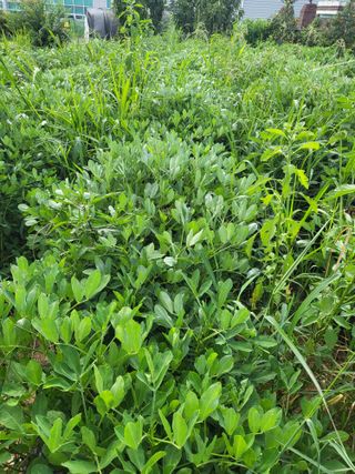 노후를풍요롭게님의 자유주제 · 자유게시판 작성글 사진