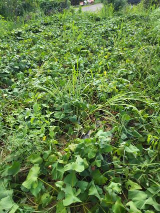 노후를풍요롭게님의 자유주제 · 자유게시판 작성글 사진