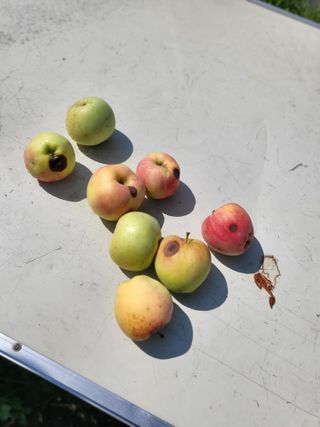 노후를풍요롭게님의 자유주제 · 자유게시판 작성글 사진