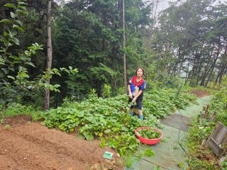 정정애님의 자유주제 · 사진전 작성글 사진