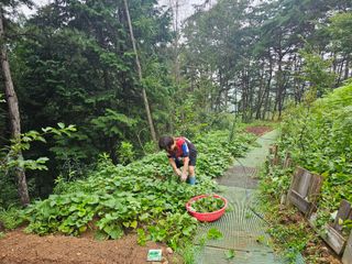 정정애님의 자유주제 · 사진전 작성글 사진