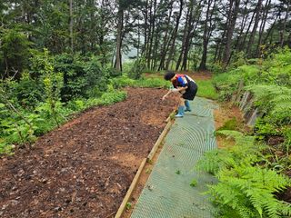 정정애님의 자유주제 · 사진전 작성글 사진