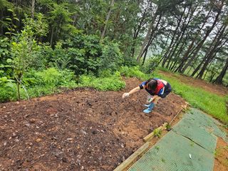 정정애님의 자유주제 · 사진전 작성글 사진