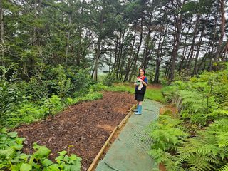 정정애님의 자유주제 · 사진전 작성글 사진