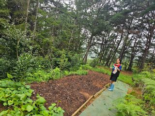 정정애님의 자유주제 · 사진전 작성글 사진
