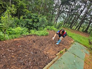 정정애님의 자유주제 · 사진전 작성글 사진