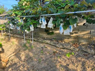 자연인님의 자유주제 · 자유게시판 작성글 사진