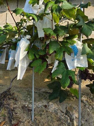 자연인님의 자유주제 · 자유게시판 작성글 사진