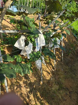 자연인님의 자유주제 · 자유게시판 작성글 사진