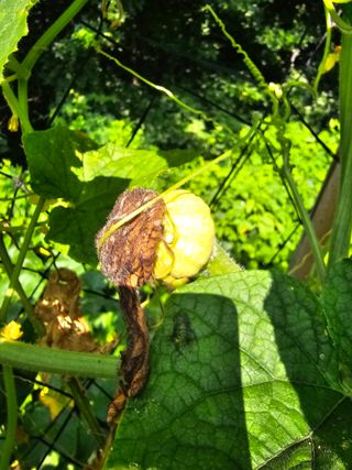 화니네농장님의 자유주제 · 자유게시판 작성글 사진