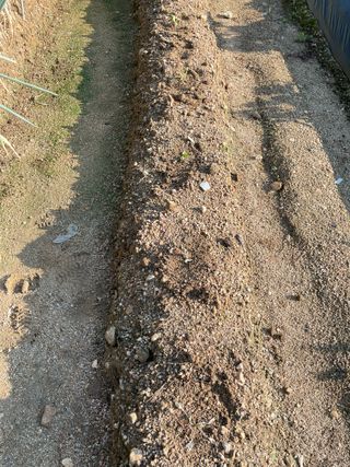 원영님의 자유주제 · 자유게시판 작성글 사진