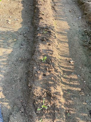 원영님의 자유주제 · 자유게시판 작성글 사진