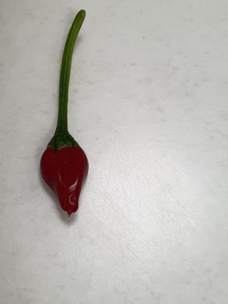 금은숙님의 자유주제 · 자유게시판 작성글 사진