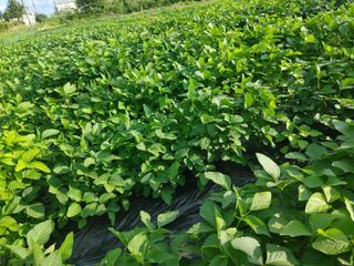 1347001347님의 자유주제 · 자유게시판 작성글 사진