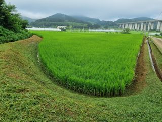 올뱅이님의 👍팜이웃 칭찬해요! · 참여글 작성글 사진