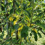 팜모닝 농사, 무엇이든 물어보세요!·참여글 게시글 이미지