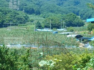 알 수 없음님의 👍팜이웃 칭찬해요! · 참여글 작성글 사진