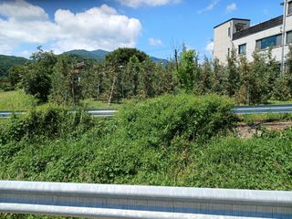 알 수 없음님의 👍팜이웃 칭찬해요! · 참여글 작성글 사진