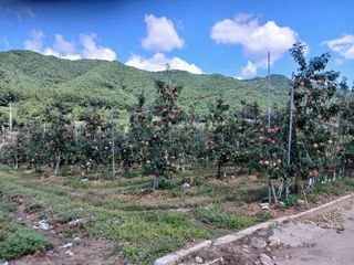 알 수 없음님의 👍팜이웃 칭찬해요! · 참여글 작성글 사진