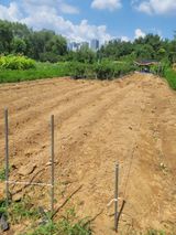 팜모닝 배추·영농일지 게시글 이미지