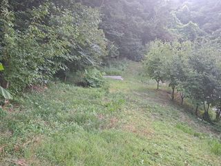 (힐링따오기쉼터)님의 복숭아 · 영농일지 작성글 사진