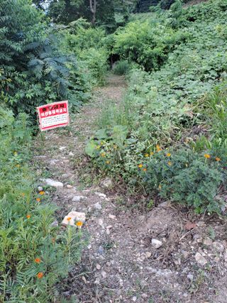 (힐링따오기쉼터)님의 복숭아 · 영농일지 작성글 사진