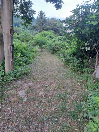 (힐링따오기쉼터)님의 복숭아 · 영농일지 작성글 사진