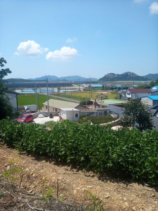 이찬웅님의 콩 · 영농일지 작성글 사진