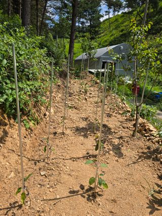 신승우님의 자유주제 · 자유게시판 작성글 사진
