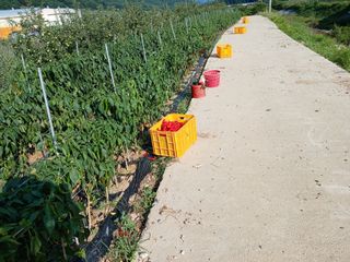 알 수 없음님의 자유주제 · 자유게시판 작성글 사진