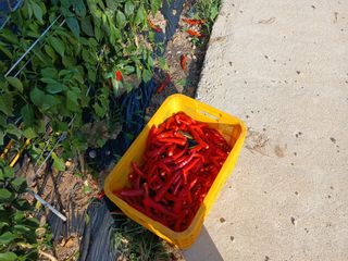 알 수 없음님의 자유주제 · 자유게시판 작성글 사진