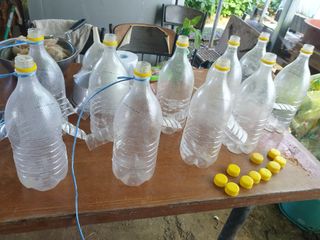 허굴산농장님의 자유주제 · 자유게시판 작성글 사진