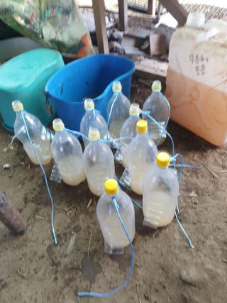 허굴산농장님의 자유주제 · 자유게시판 작성글 사진