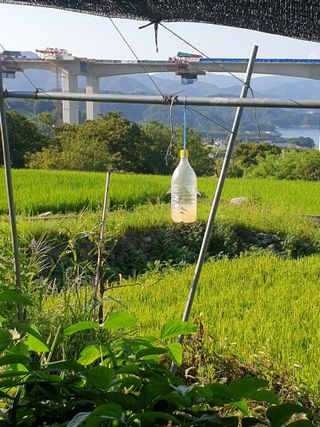 허굴산농장님의 자유주제 · 자유게시판 작성글 사진