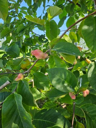 들깨3278님의 자유주제 · 자유게시판 작성글 사진