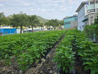 공근좋은인연님의 👍팜이웃 칭찬해요! · 참여글 작성글 사진