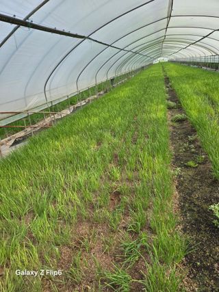 이일두님의 농사, 무엇이든 물어보세요! · 참여글 작성글 사진