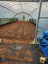 팜모닝 자유주제·자유게시판 게시글 이미지