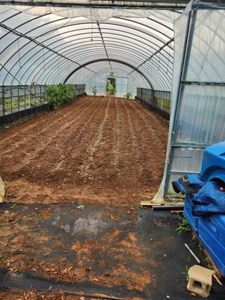 심원댁님의 자유주제 · 자유게시판 작성글 사진