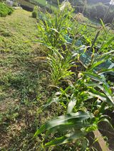 팜모닝 자유주제·사진전 게시글 이미지