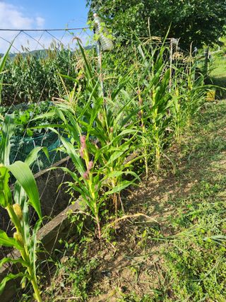 한상경님의 자유주제 · 사진전 작성글 사진