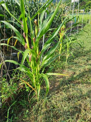 한상경님의 자유주제 · 사진전 작성글 사진