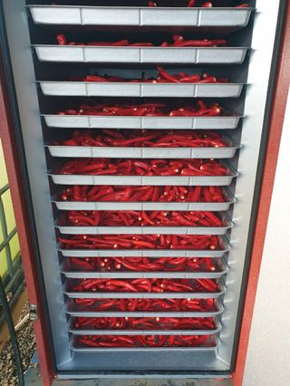 샤이니바다님의 고추 · 영농일지 작성글 사진