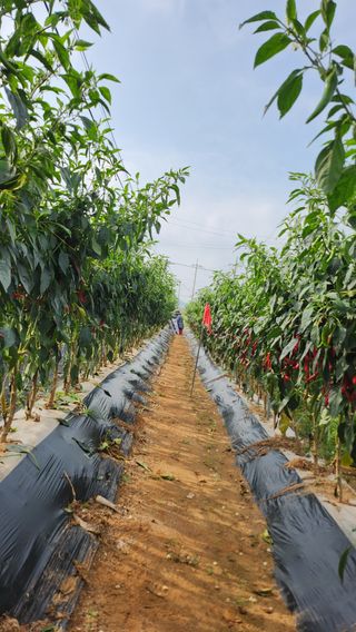 벼11175님의 자유주제 · 자유게시판 작성글 사진