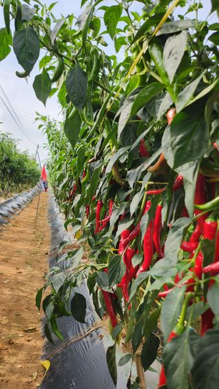 벼11175님의 자유주제 · 자유게시판 작성글 사진