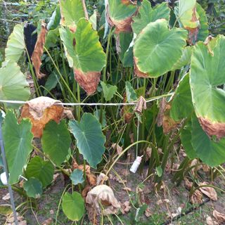 박철용 님의 자유주제 · 자유게시판 작성글 사진