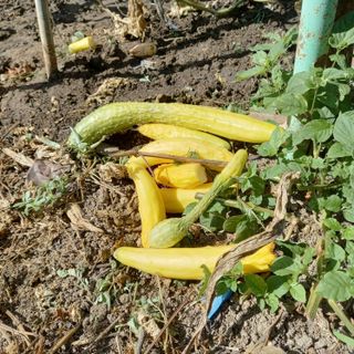 박철용 님의 자유주제 · 자유게시판 작성글 사진