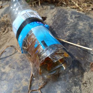 박철용 님의 자유주제 · 자유게시판 작성글 사진