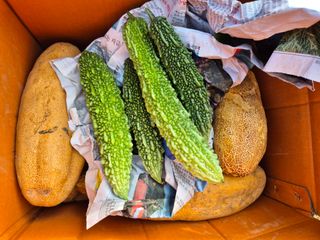 권경님의 오이 · 영농일지 작성글 사진