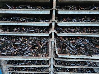 함주호님의 자유주제 · 자유게시판 작성글 사진